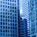 【就労ビザ共通】許可・不許可を分ける二大審査基準と企業の義務