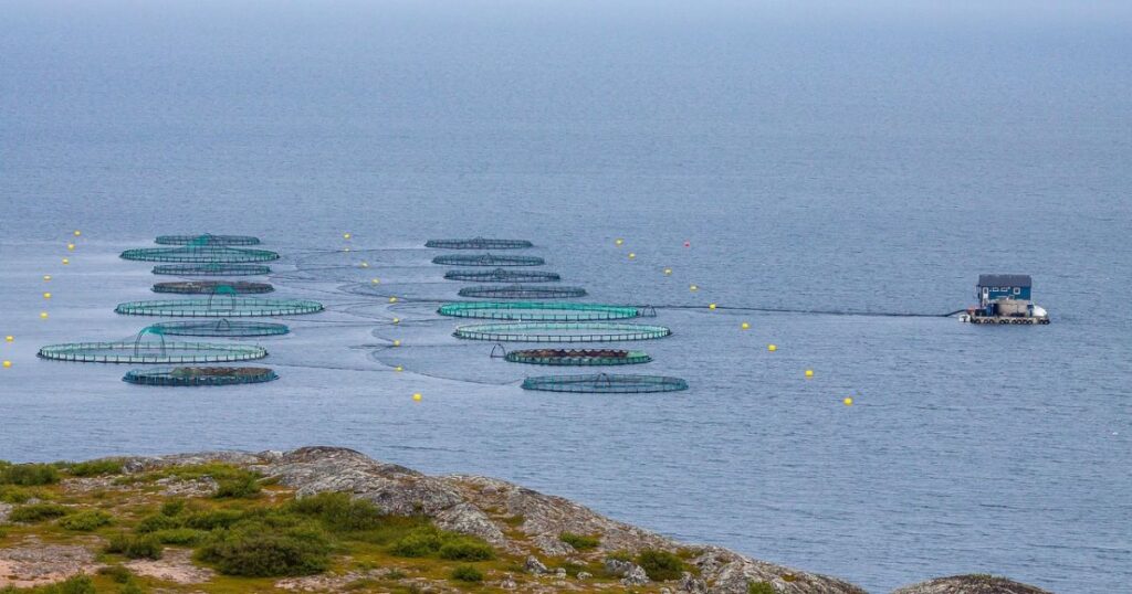 特定技能「漁業」採用・申請ガイド｜漁業・養殖業の要件と注意点のアイキャッチ画像