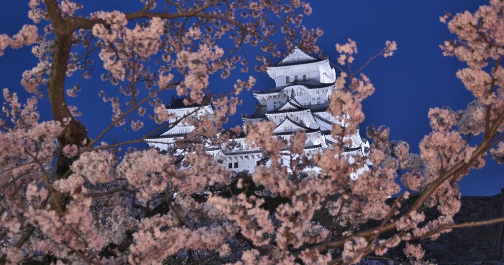 私たちの想いと約束のアイキャッチ画像