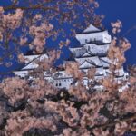 私たちの想いと約束のアイキャッチ画像